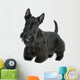 Scottish Terrier Wall Decal