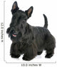 Scottish Terrier Wall Decal