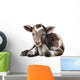 Newborn Calf Black and Wall Decal
