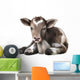 Newborn Calf Black and Wall Decal