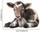 Newborn Calf Black and Wall Decal