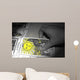Tarot Wall Mural