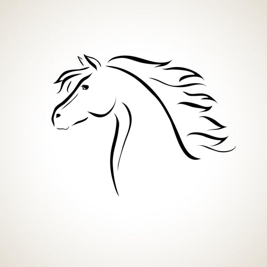vector drawing horse 