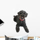 Black Poodle Wall Decal