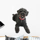 Black Poodle Wall Decal