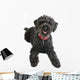 Black Poodle Wall Decal
