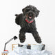 Black Poodle Wall Decal
