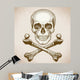 engraving skull and crossbones on white background 