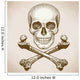 engraving skull and crossbones on white background 