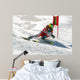 super G Wall Mural