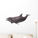 Dolphin on White Wall Decal