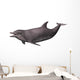 Dolphin on White Wall Decal