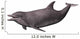Dolphin on White Wall Decal