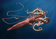 Giant Squid Wall Decal