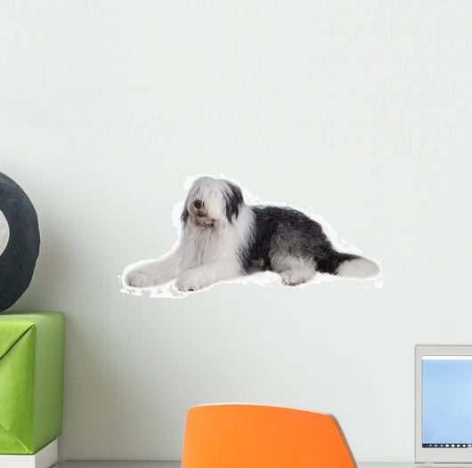 Old English Sheepdog Wall Decal