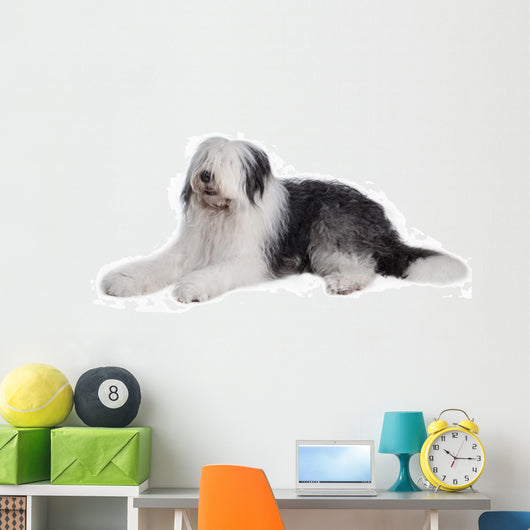 Old English Sheepdog Wall Decal