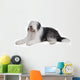 Old English Sheepdog Wall Decal
