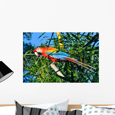 Amazonian Macaw Ara Ararauna Wall Decal shown on a wall