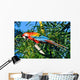 Amazonian Macaw Ara Ararauna Wall Decal