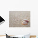 Two Shells Beach Wall Decal