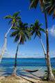 Colorful Hammock between Palm Wall Decal