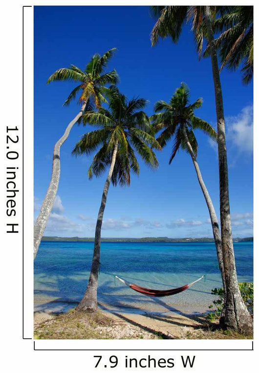 Colorful Hammock between Palm Wall Decal