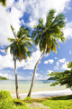 Batteaux Bay Tobago 