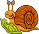 snail and lettuce cartoon illustration Wall Decal