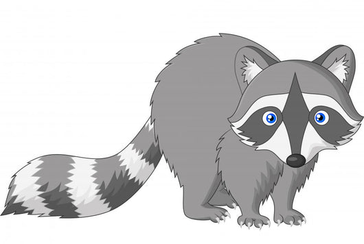 Cute Raccoon Cartoon Wall Decal
