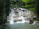 Ys Falls Jamaica Wall Decal