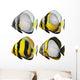 Four fishes Wall Mural