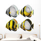 Four fishes Wall Mural