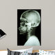 X-Ray Asian Skull and Cervical Spine 