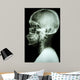 X-Ray Asian Skull and Cervical Spine 