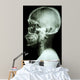 X-Ray Asian Skull and Cervical Spine 