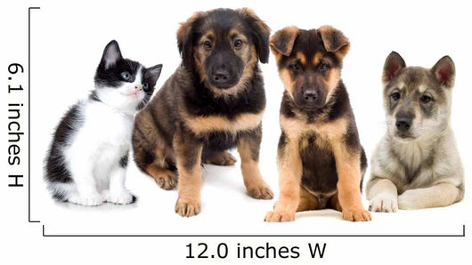 Puppies and Kitten Wall Decal