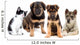 Puppies and Kitten Wall Decal
