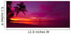 Tropical sunset with palm tree silhouette panorama 