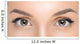 brown eyes Wall Mural