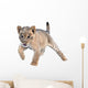 Cute Lion Cub Wall Decal