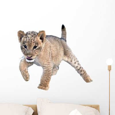Cute Lion Cub Wall Decal shown on a wall