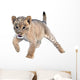 Cute Lion Cub Wall Decal