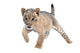 Cute Lion Cub Wall Decal