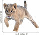 Cute Lion Cub Wall Decal