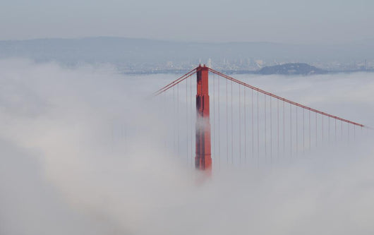 Foggy Bridge Wall Decal