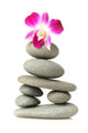 Orchid on Stacked Stones Wall Decal