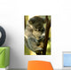 Australian Koala Wall Mural
