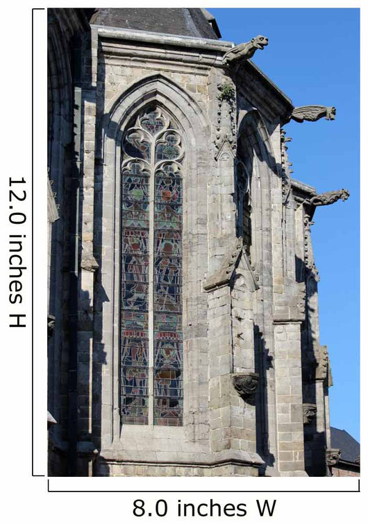 Gargoyles and stained-glass windows of the Cathedral of St. Waudru Mons 