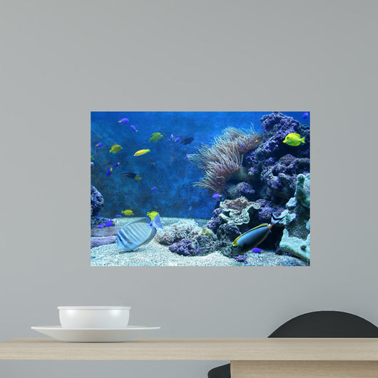 Aquarium Wall Decal