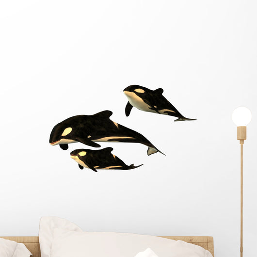 Killer Whale Wall Decal
